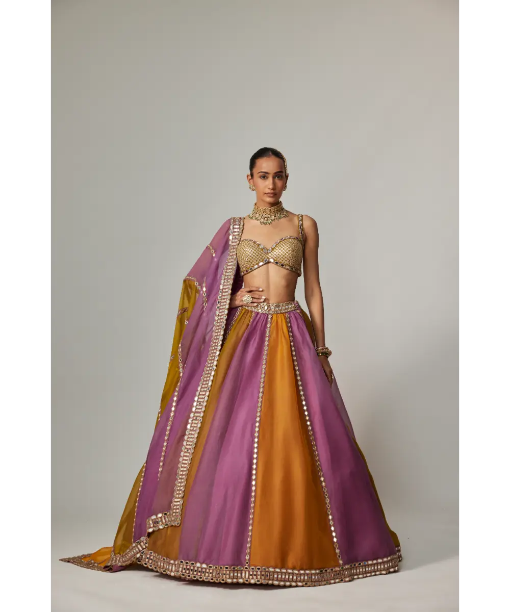 VVANI VATS - Mustard multicolor Linear Lehenga with Sweetheart Neck Blouse