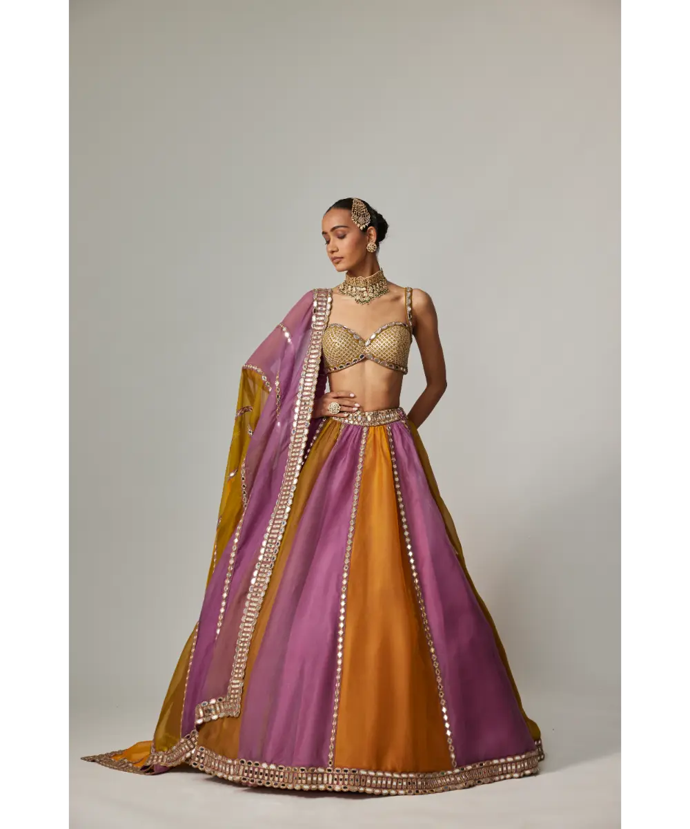 VVANI VATS - Mustard multicolor Linear Lehenga with Sweetheart Neck Blouse