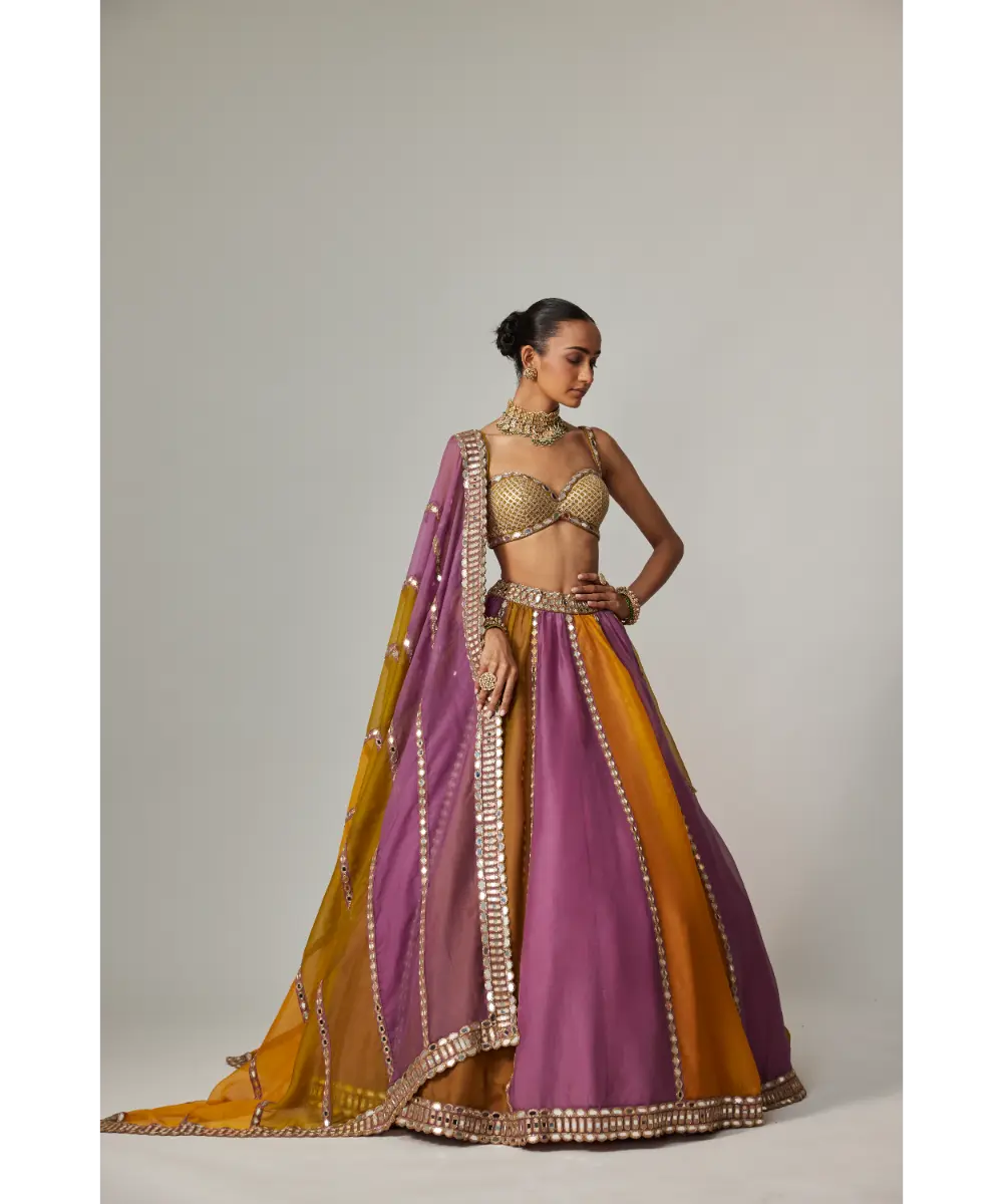 VVANI VATS - Mustard multicolor Linear Lehenga with Sweetheart Neck Blouse