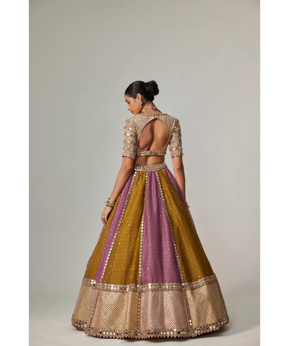 VVANI VATS - Green multicolor Sequin Scatter Lehenga with V Neck Elbow Sleeve Blouse