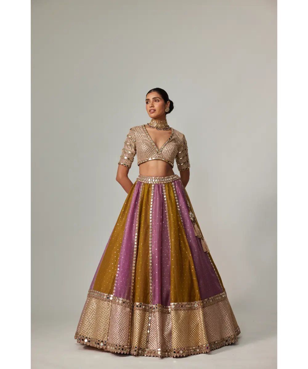 VVANI VATS - Green multicolor Sequin Scatter Lehenga with V Neck Elbow Sleeve Blouse