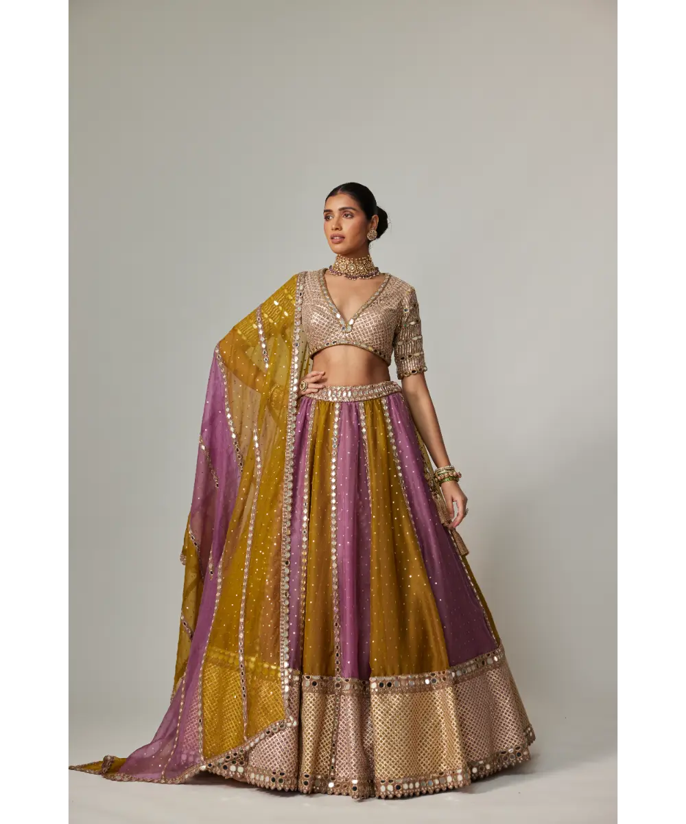 VVANI VATS - Green multicolor Sequin Scatter Lehenga with V Neck Elbow Sleeve Blouse