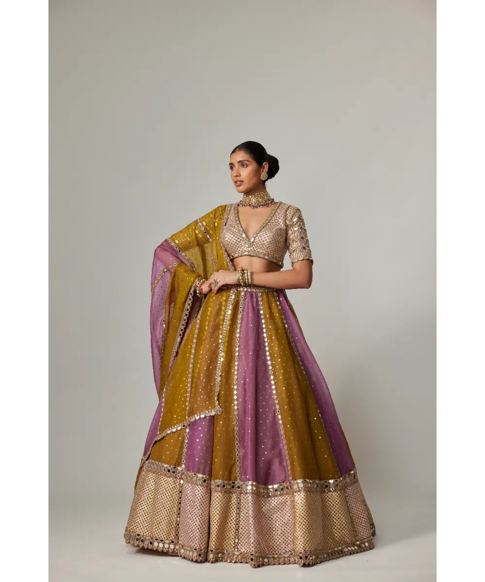 VVANI VATS - Green multicolor Sequin Scatter Lehenga with V Neck Elbow Sleeve Blouse