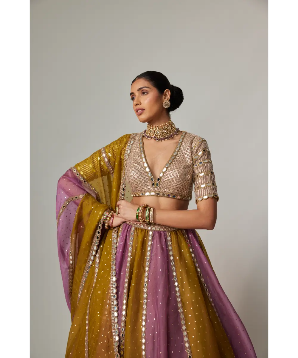 VVANI VATS - Green multicolor Sequin Scatter Lehenga with V Neck Elbow Sleeve Blouse