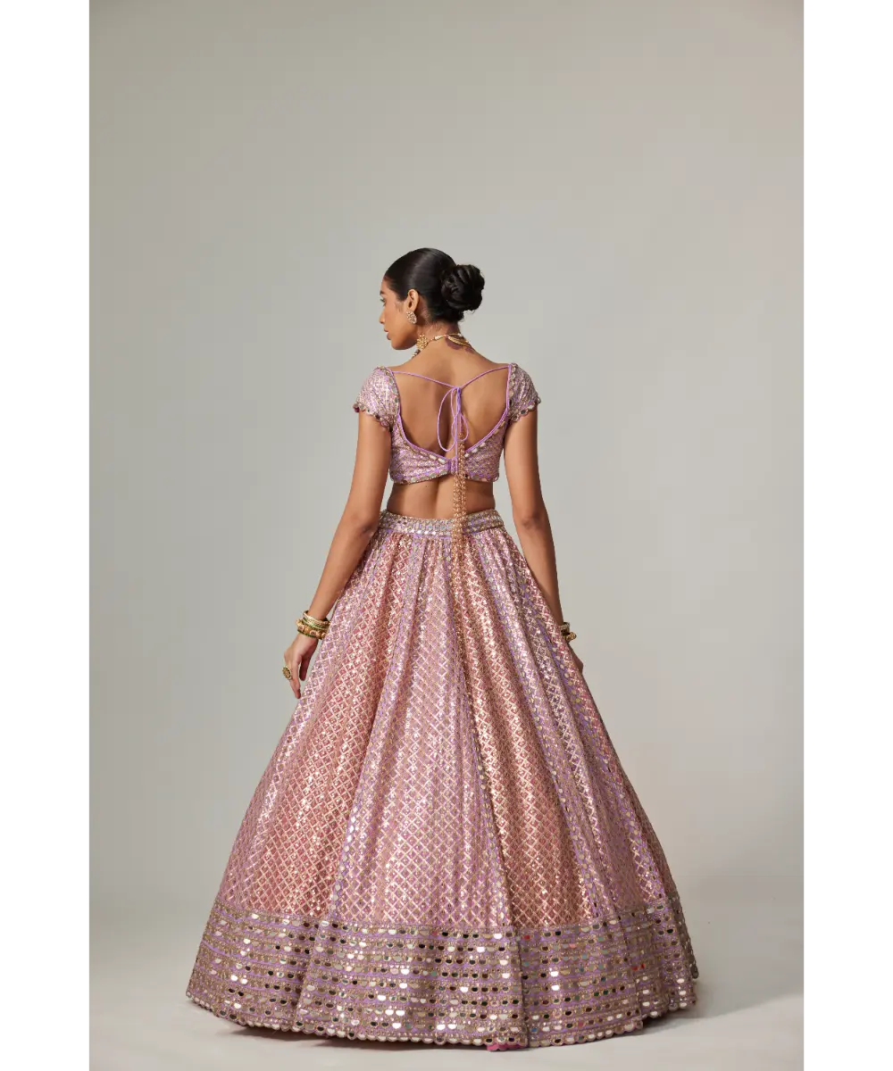 VVANI VATS - Lilac gota multicolor Heavy Metallic Lehenga with Cap Sleeve Blouse