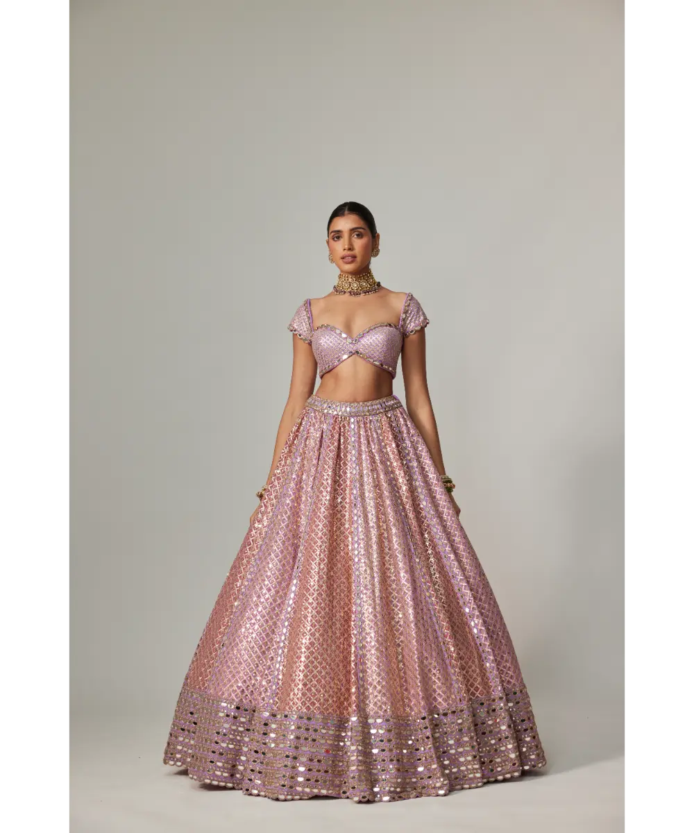 VVANI VATS - Lilac gota multicolor Heavy Metallic Lehenga with Cap Sleeve Blouse