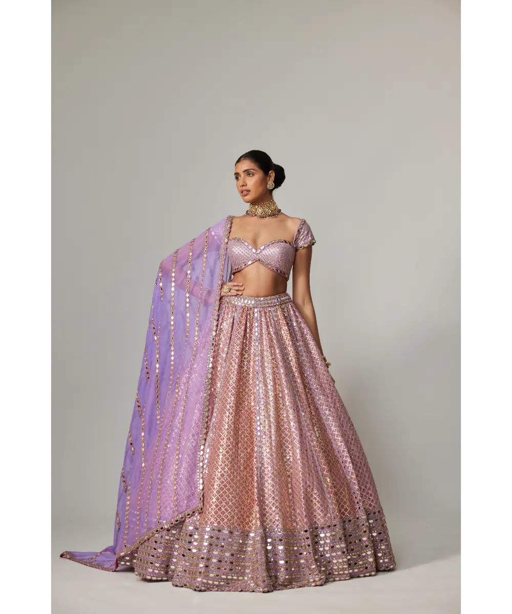 VVANI VATS - Lilac gota multicolor Heavy Metallic Lehenga with Cap Sleeve Blouse