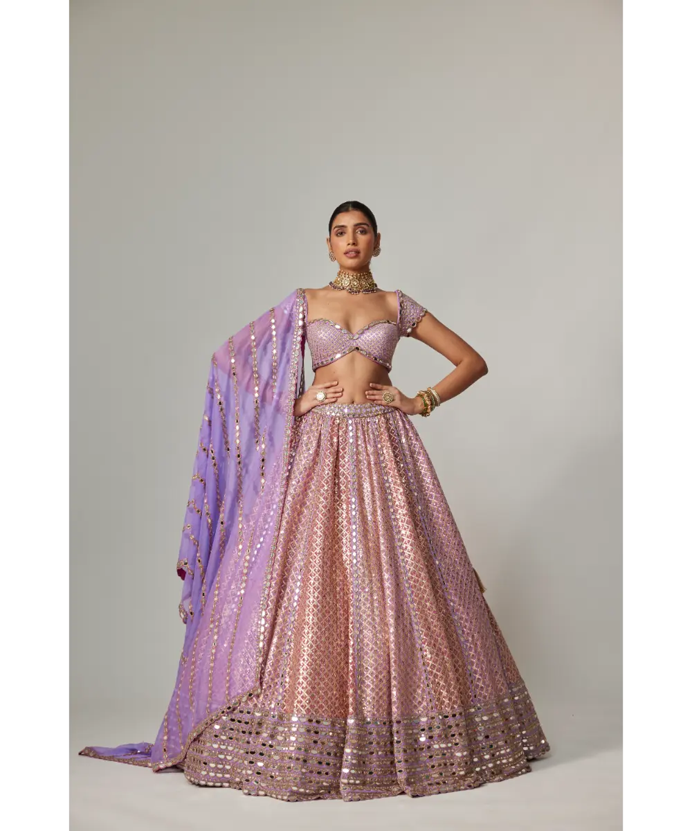 VVANI VATS - Lilac gota multicolor Heavy Metallic Lehenga with Cap Sleeve Blouse