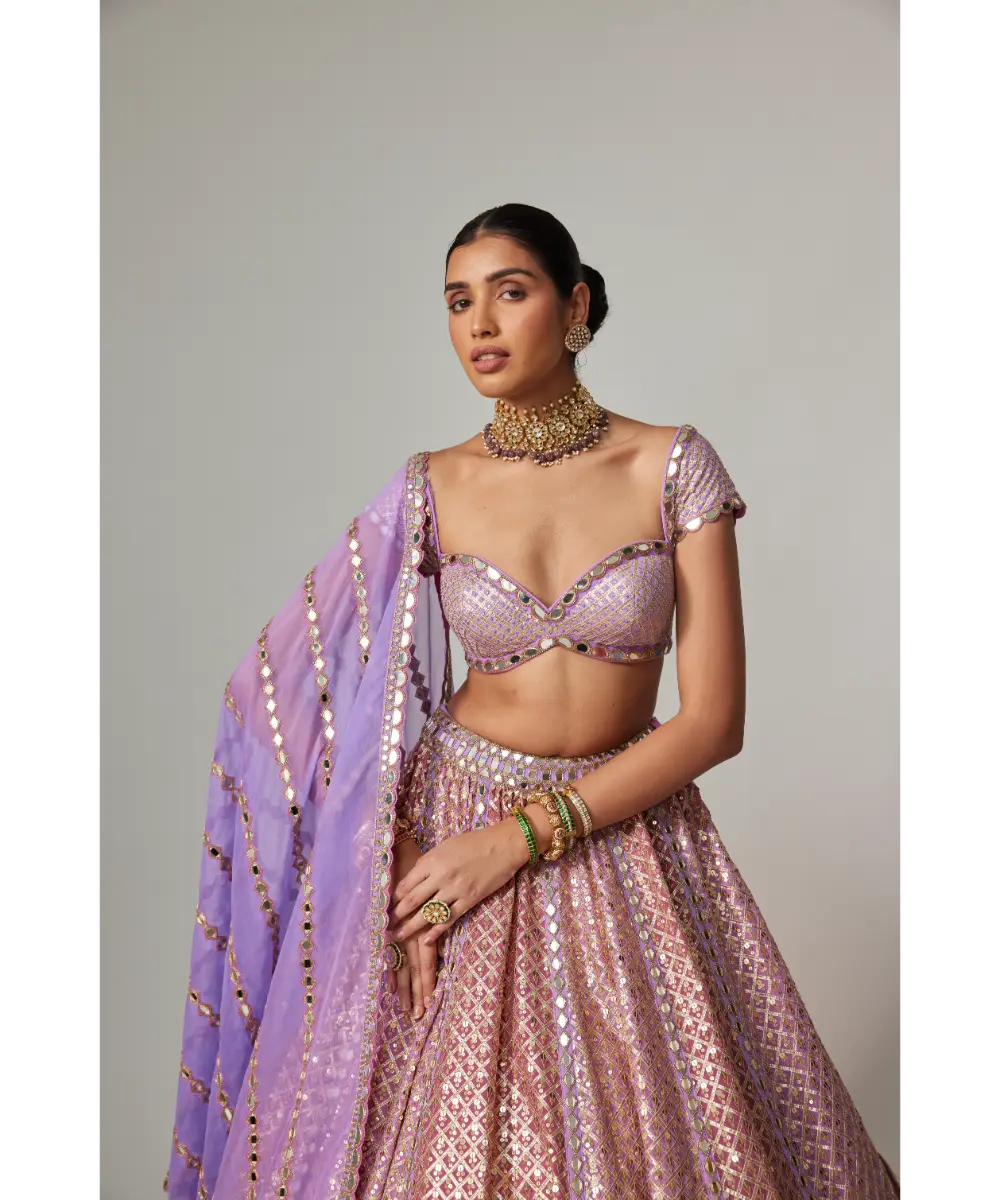 VVANI VATS - Lilac gota multicolor Heavy Metallic Lehenga with Cap Sleeve Blouse