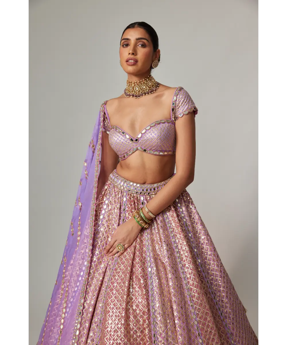 VVANI VATS - Lilac gota multicolor Heavy Metallic Lehenga with Cap Sleeve Blouse