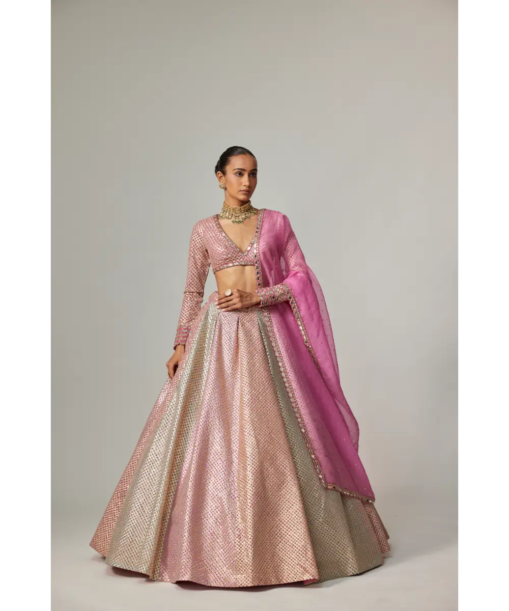 VVANI VATS - Dark Blush multicolor metallic gota Crop Top Skirt with Dark Blush Dupatta