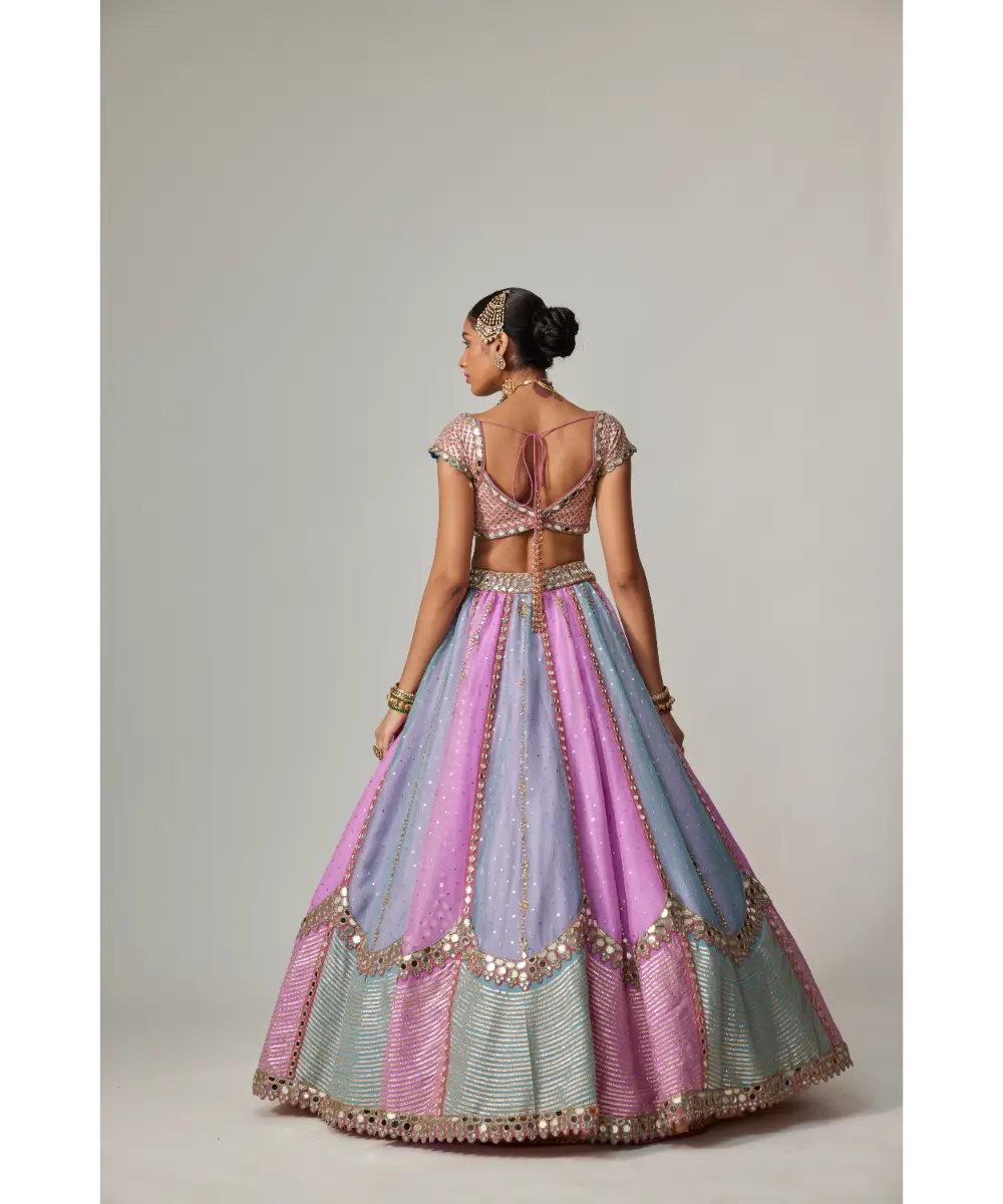 VVANI VATS - Mauve multicolor Sequins Scatter Lehenga with Cap Sleeve Blouse