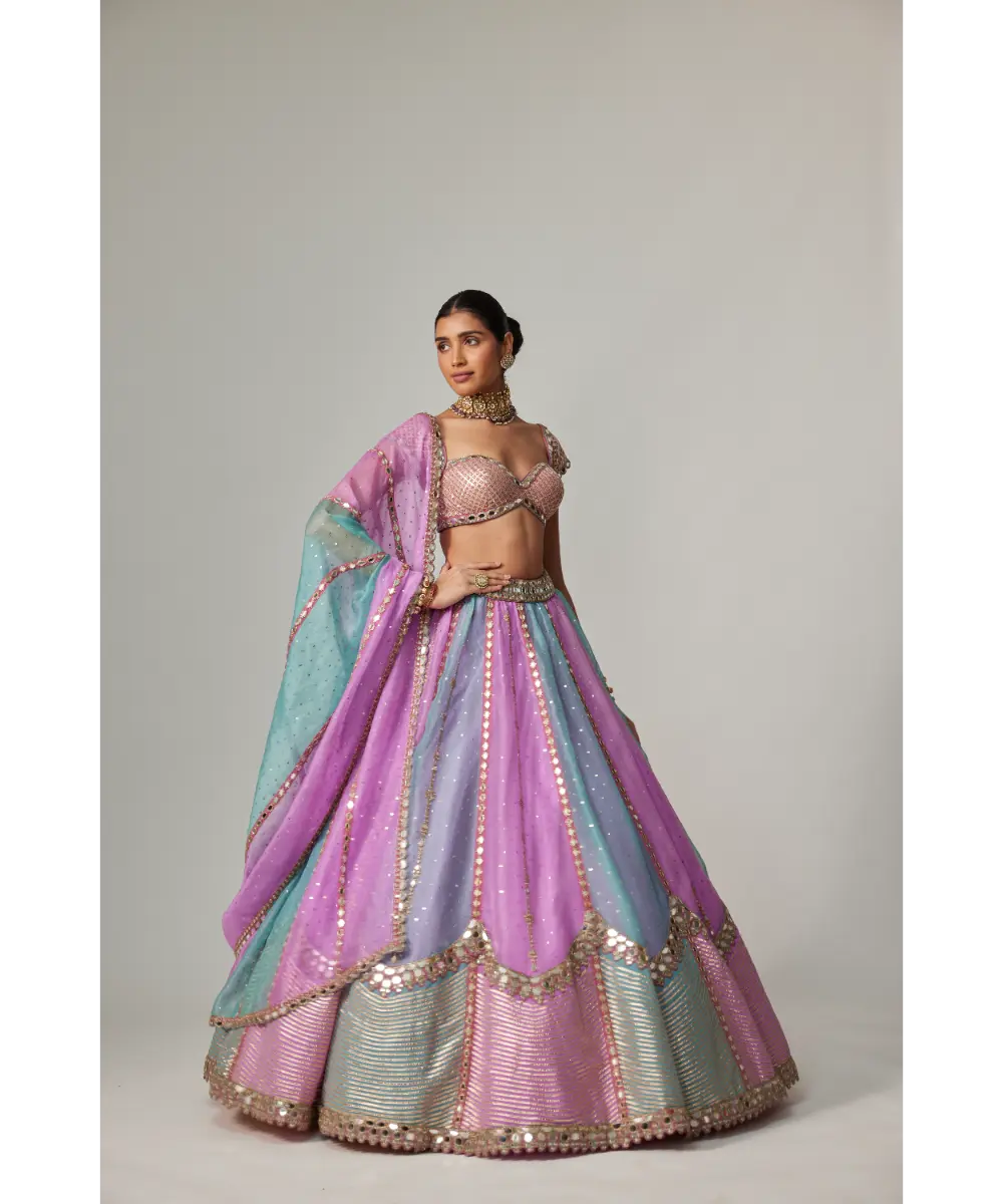 VVANI VATS - Mauve multicolor Sequins Scatter Lehenga with Cap Sleeve Blouse