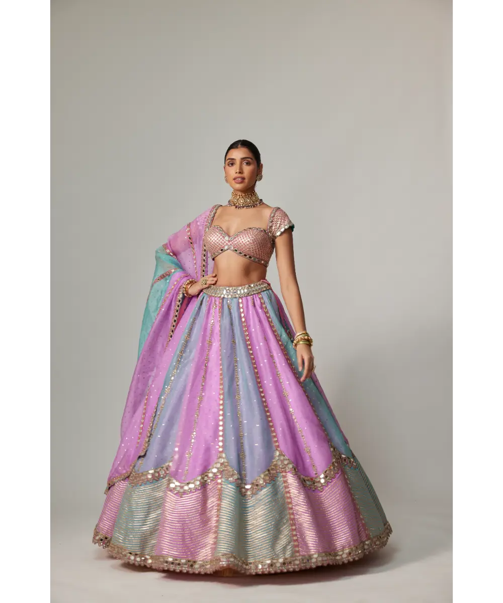VVANI VATS - Mauve multicolor Sequins Scatter Lehenga with Cap Sleeve Blouse
