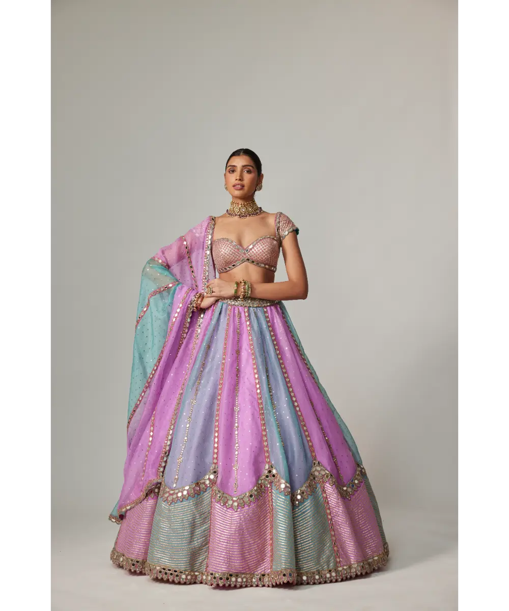 VVANI VATS - Mauve multicolor Sequins Scatter Lehenga with Cap Sleeve Blouse