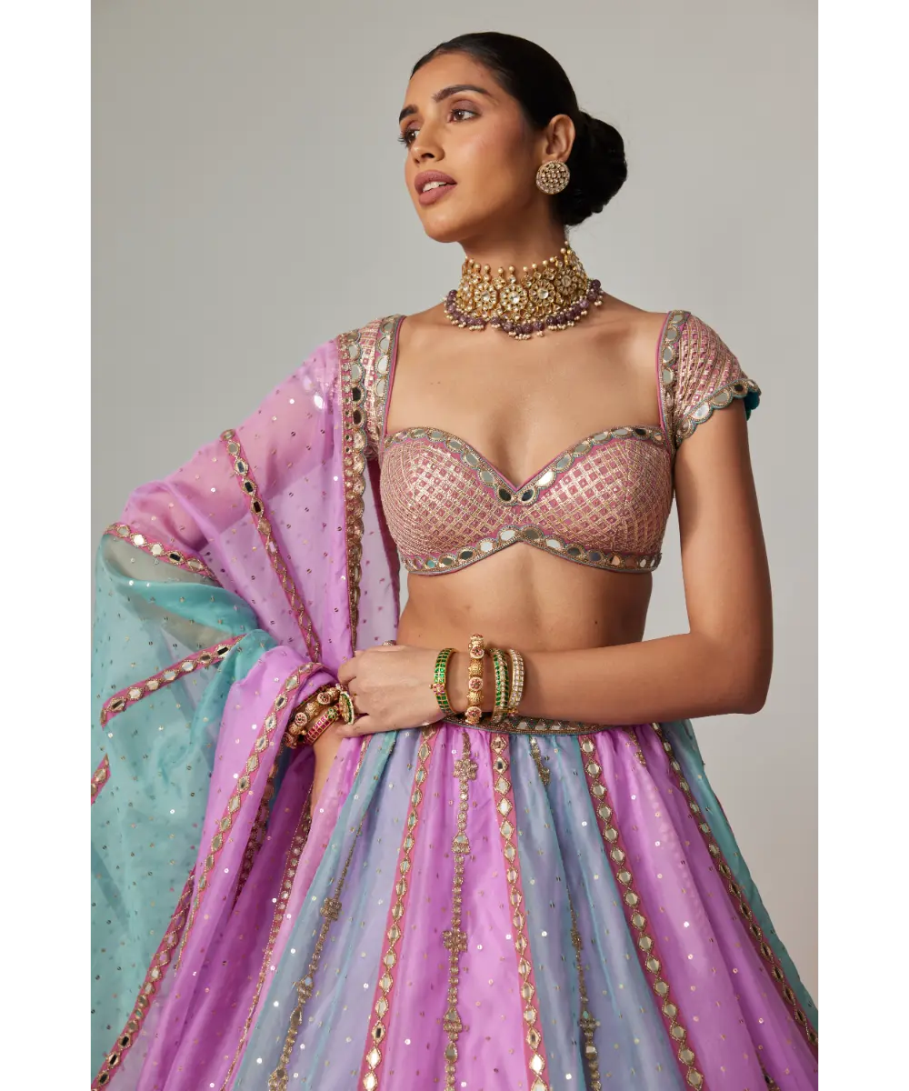 VVANI VATS - Mauve multicolor Sequins Scatter Lehenga with Cap Sleeve Blouse