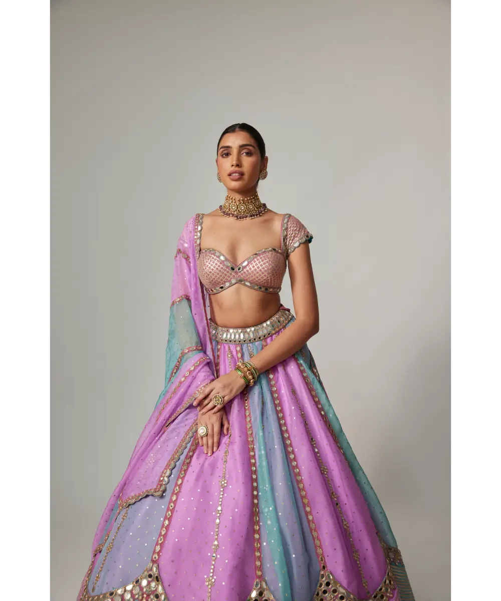 VVANI VATS - Mauve multicolor Sequins Scatter Lehenga with Cap Sleeve Blouse