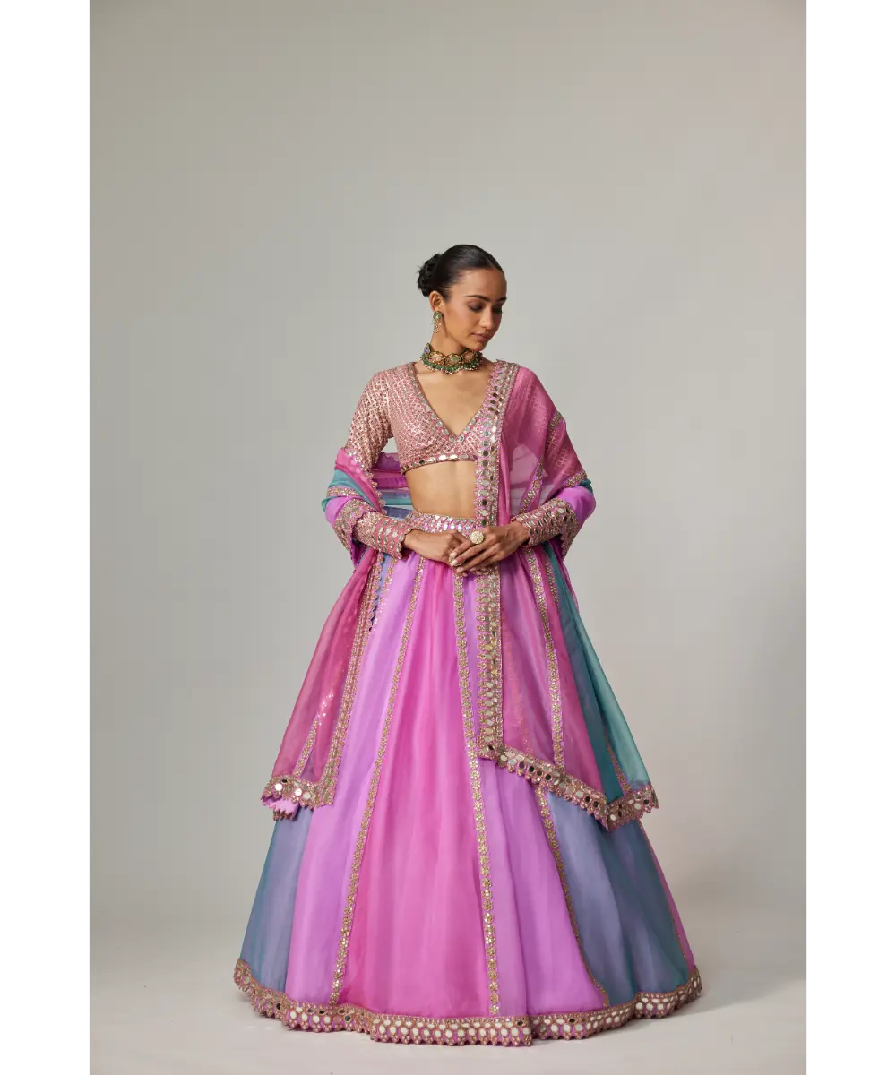 VVANI VATS - Mauve multicolor Linear Lehenga with V Neck Blouse