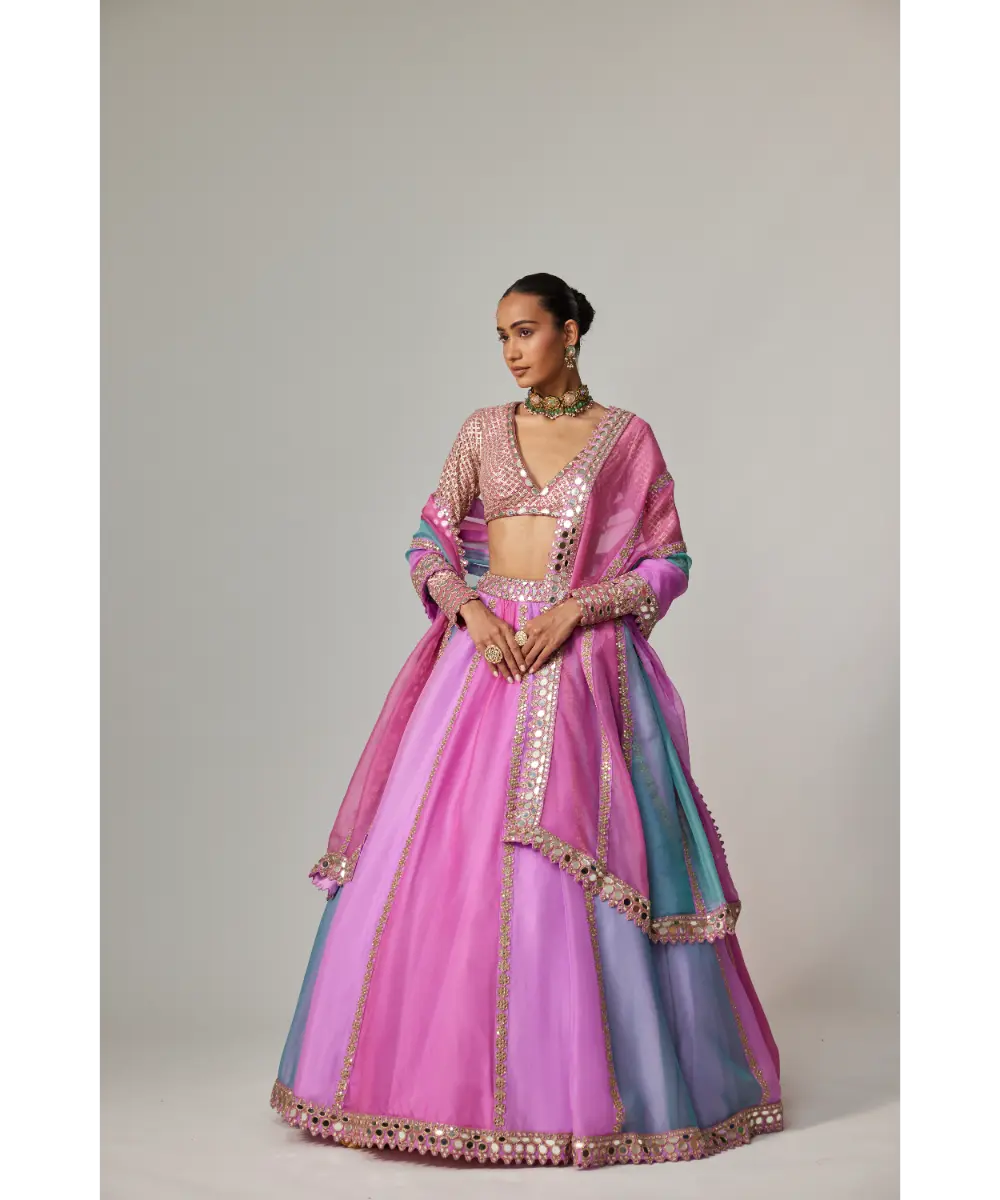 VVANI VATS - Mauve multicolor Linear Lehenga with V Neck Blouse