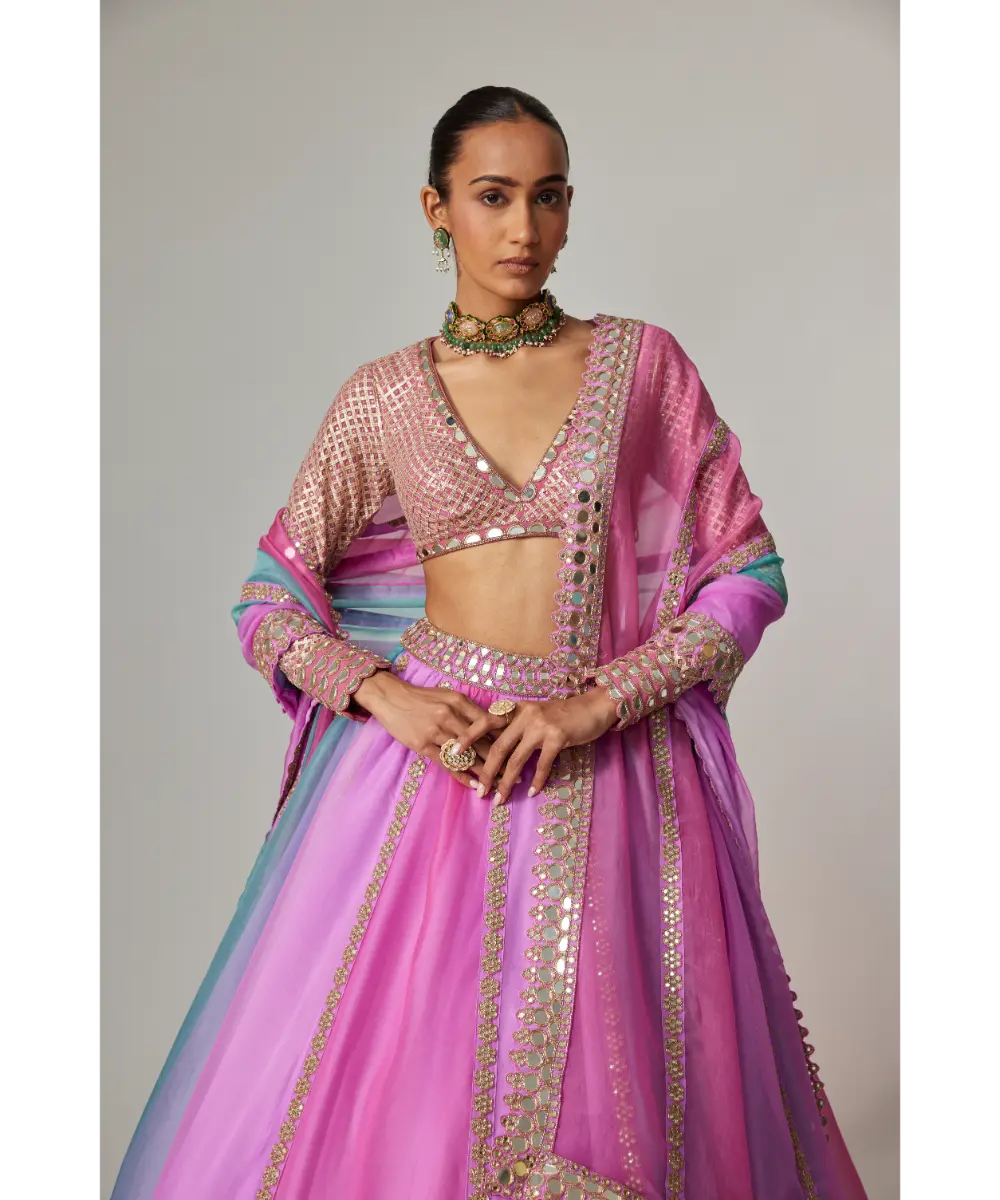 VVANI VATS - Mauve multicolor Linear Lehenga with V Neck Blouse