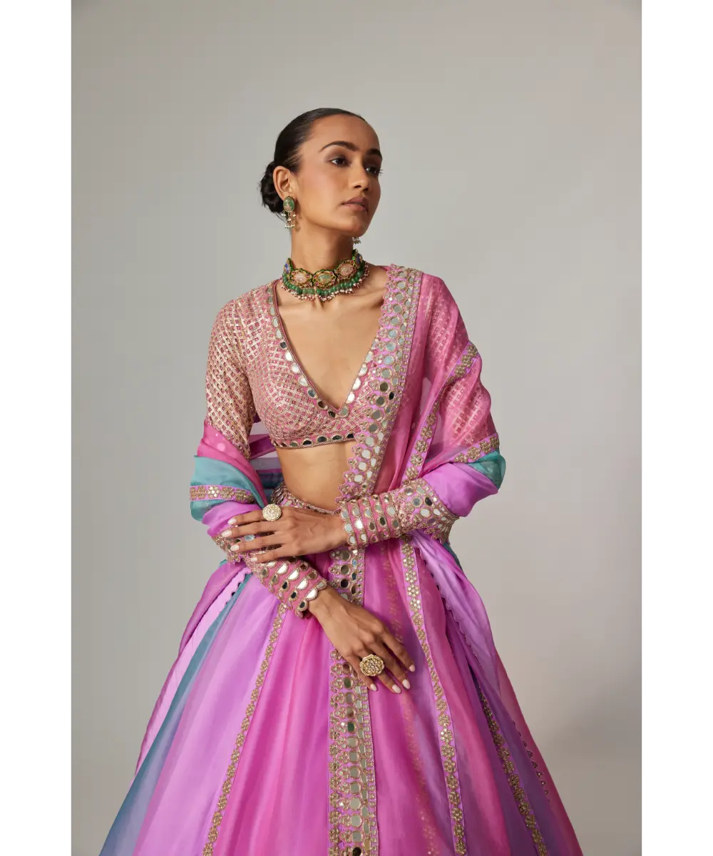 VVANI VATS - Mauve multicolor Linear Lehenga with V Neck Blouse