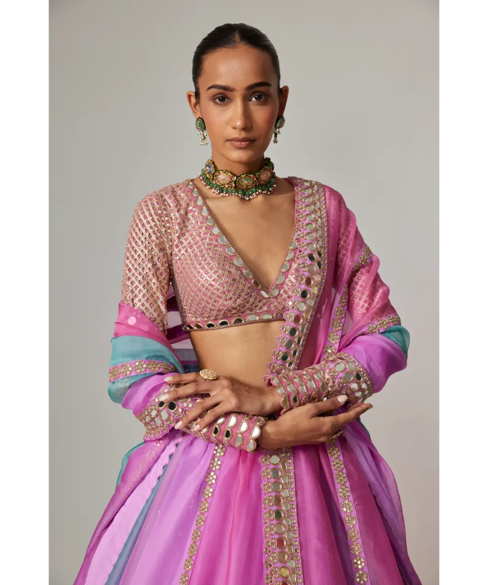 VVANI VATS - Mauve multicolor Linear Lehenga with V Neck Blouse