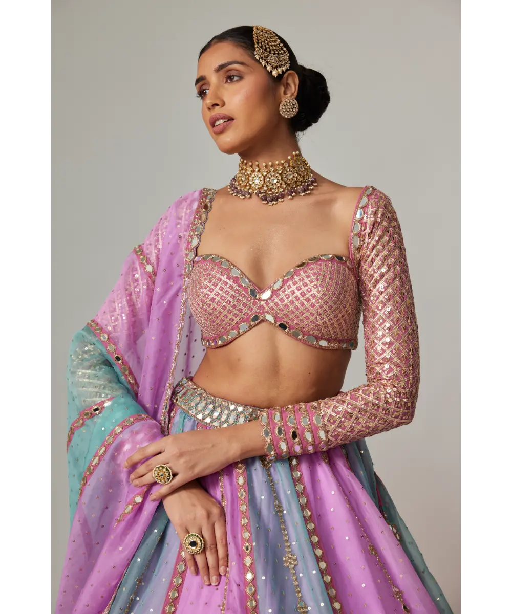 VVANI VATS - Mauve multicolor Sequin Scattered Lehenga with Sweetheart Full Sleeve Blouse
