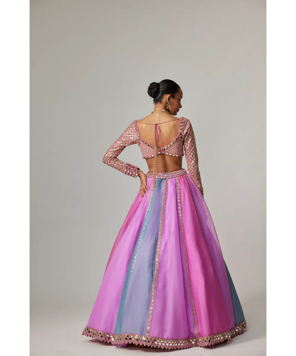 VVANI VATS - Mauve multicolor Linear Lehenga with Sweetheart Full Sleeve Blouse