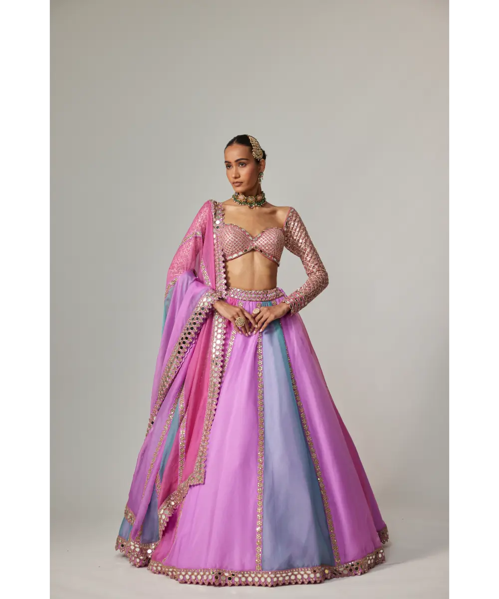VVANI VATS - Mauve multicolor Linear Lehenga with Sweetheart Full Sleeve Blouse