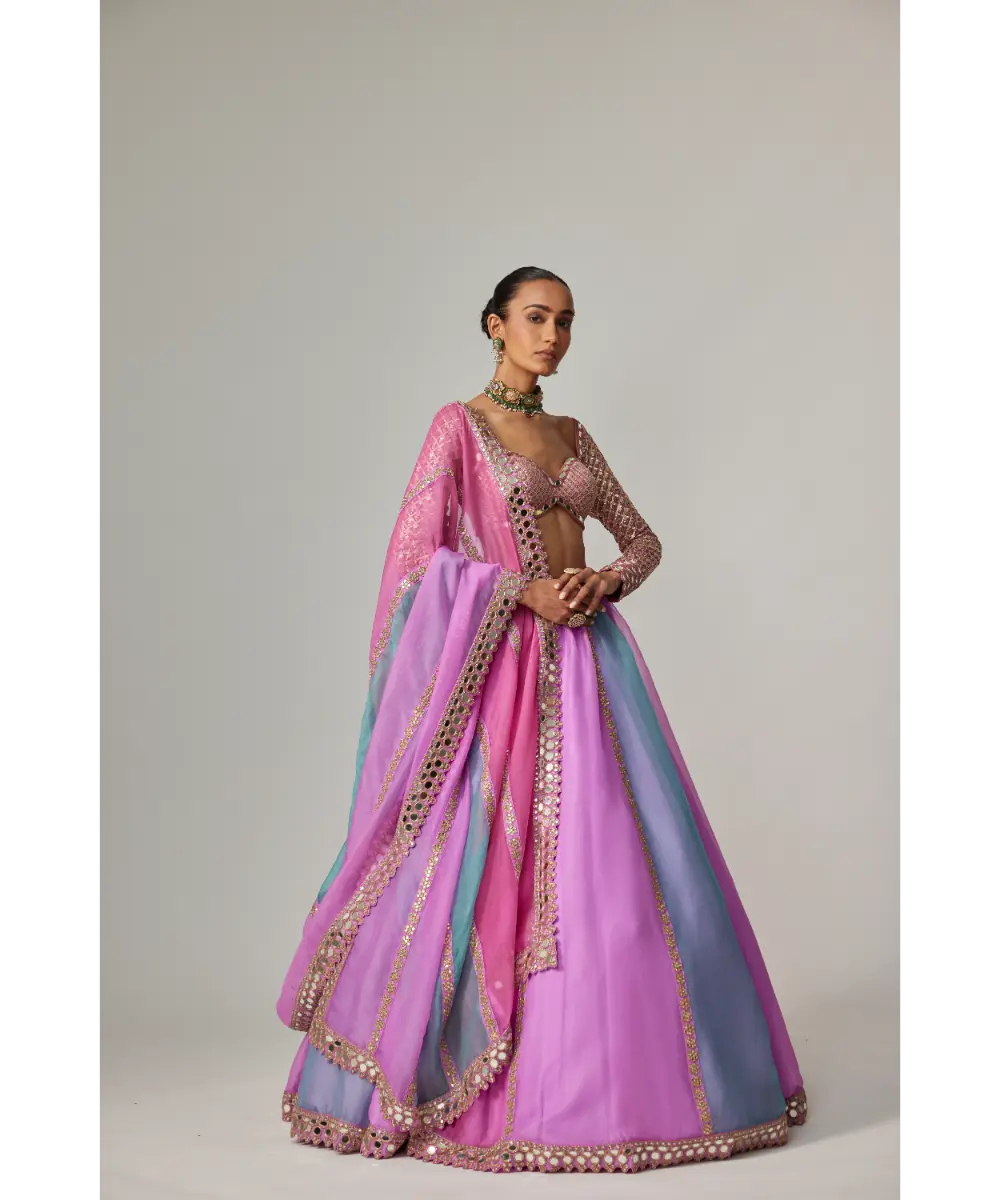 VVANI VATS - Mauve multicolor Linear Lehenga with Sweetheart Full Sleeve Blouse