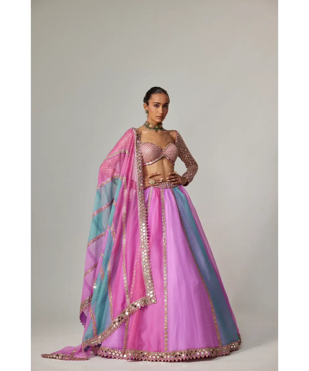 VVANI VATS - Mauve multicolor Linear Lehenga with Sweetheart Full Sleeve Blouse