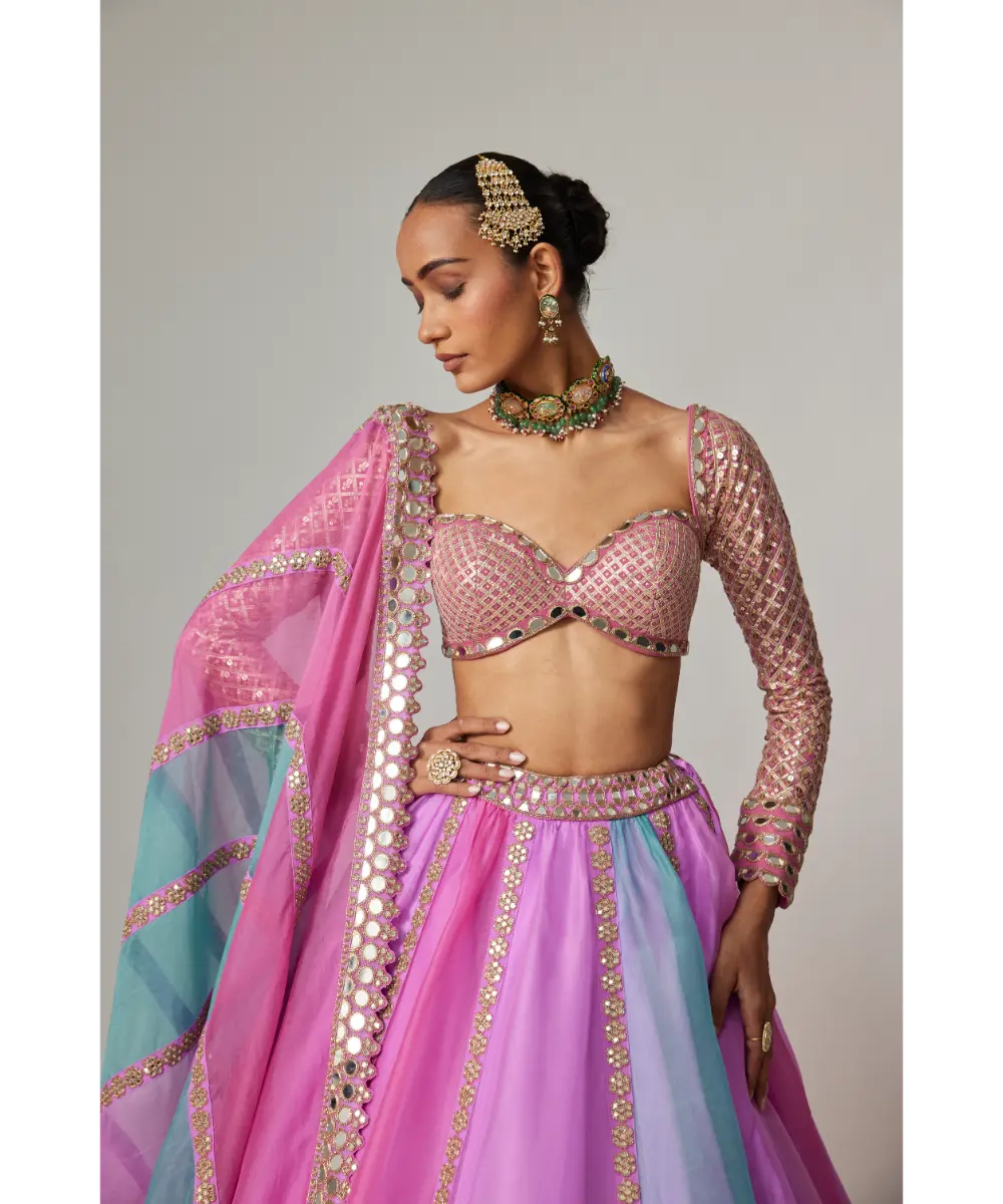 VVANI VATS - Mauve multicolor Linear Lehenga with Sweetheart Full Sleeve Blouse
