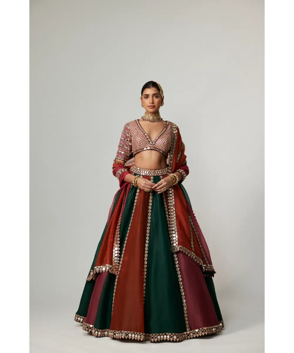 VVANI VATS - Cranberry multicolor Linear Lehenga with V Neck Blouse