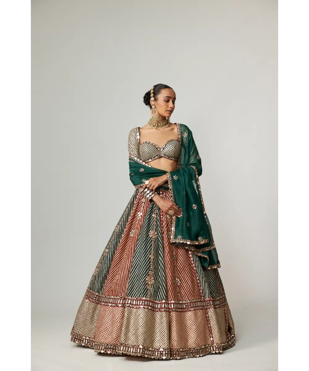 VVANI VATS - Cranberry Flower Linear Lehenga with Full Sleeve Blouse