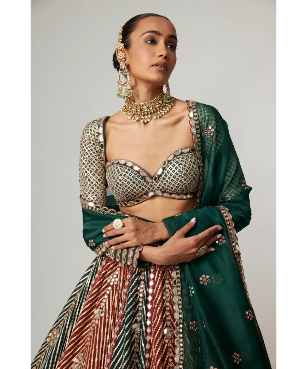 VVANI VATS - Cranberry Flower Linear Lehenga with Full Sleeve Blouse