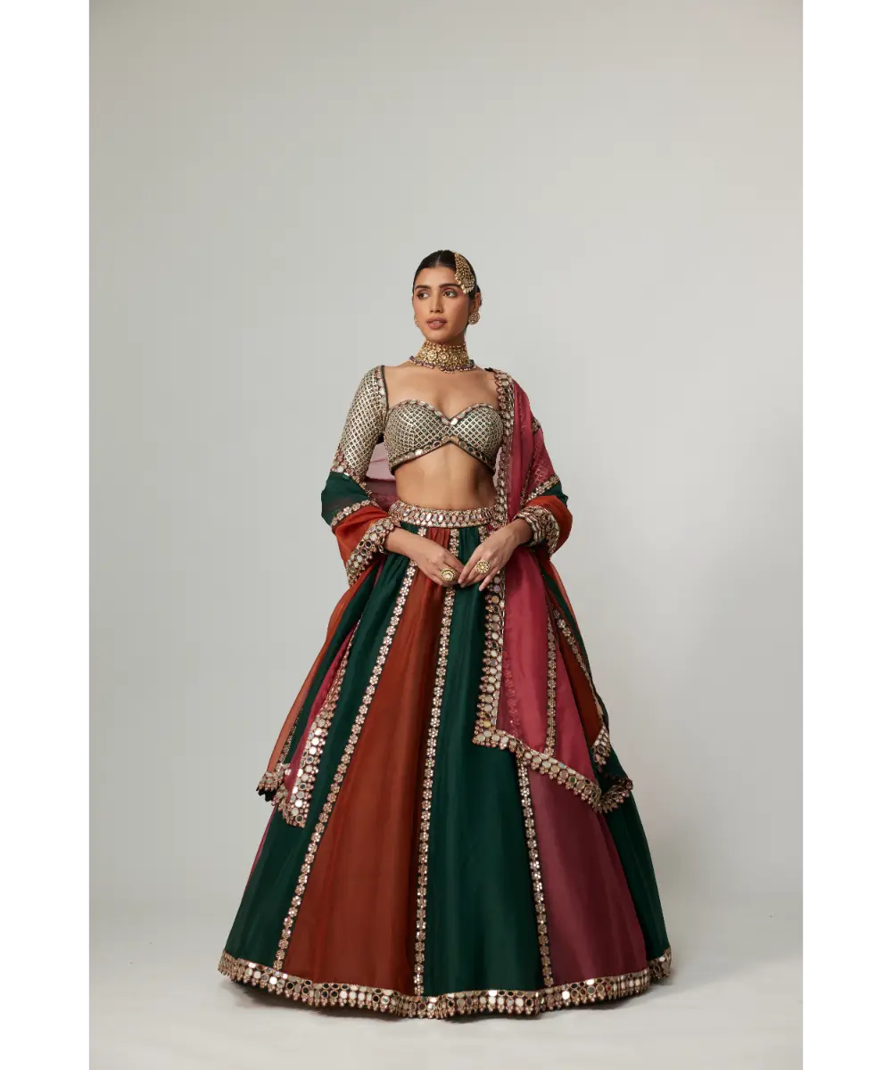 VVANI VATS - Cranberry multicolor Linear Lehenga with Sweetheart Full Sleeve Blouse