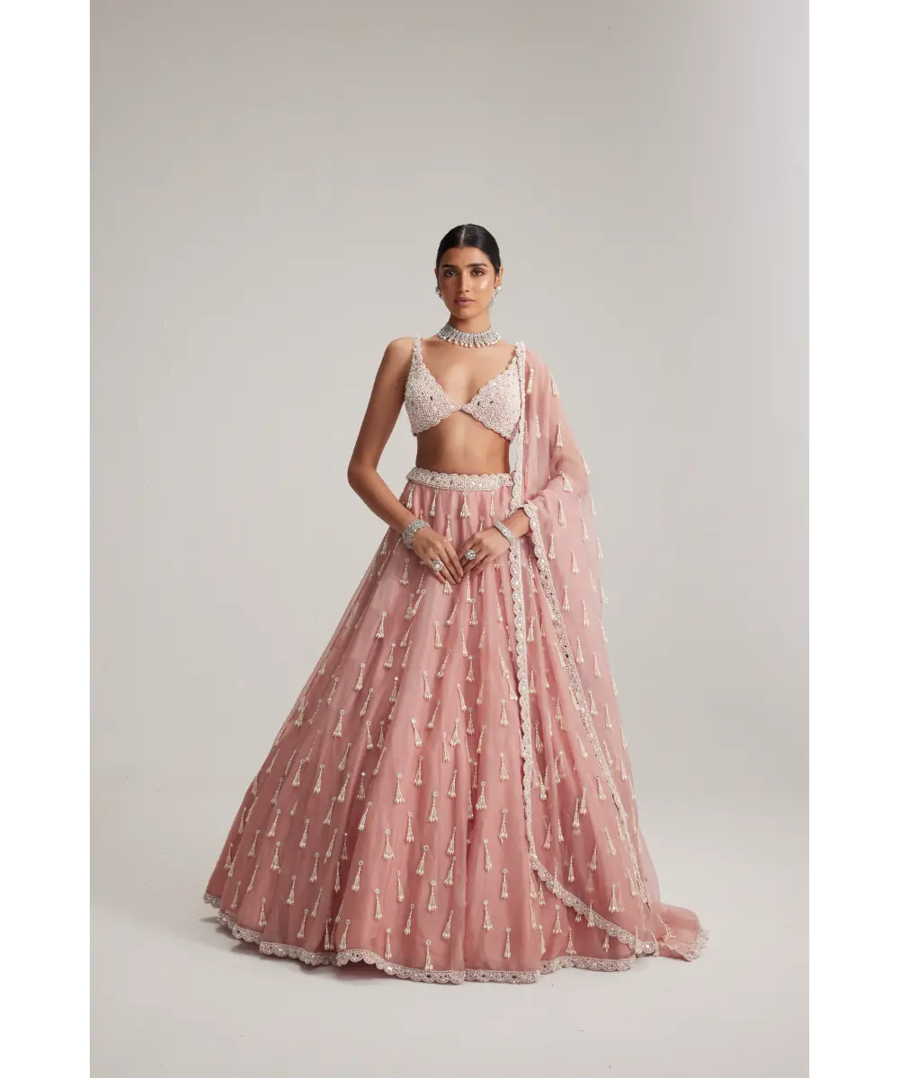 VVANI VATS- Dusty Rose Organza Long Pearl Tassels Lehenga Set