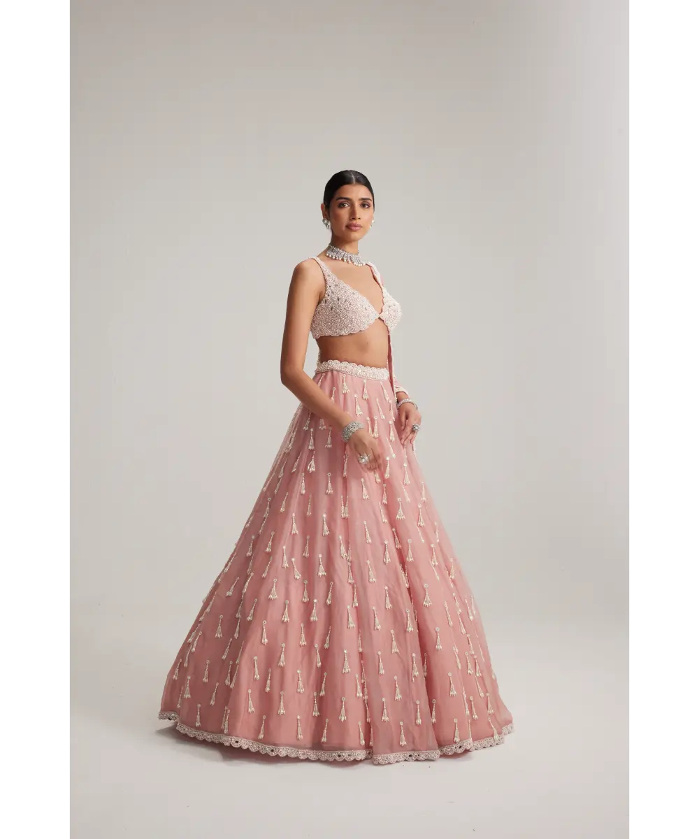 VVANI VATS- Dusty Rose Organza Long Pearl Tassels Lehenga Set