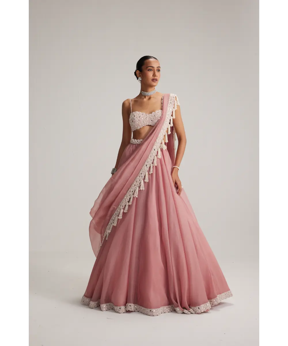 VVANI VATS- Dusty Rose Organza mirror and pearl lehenga set