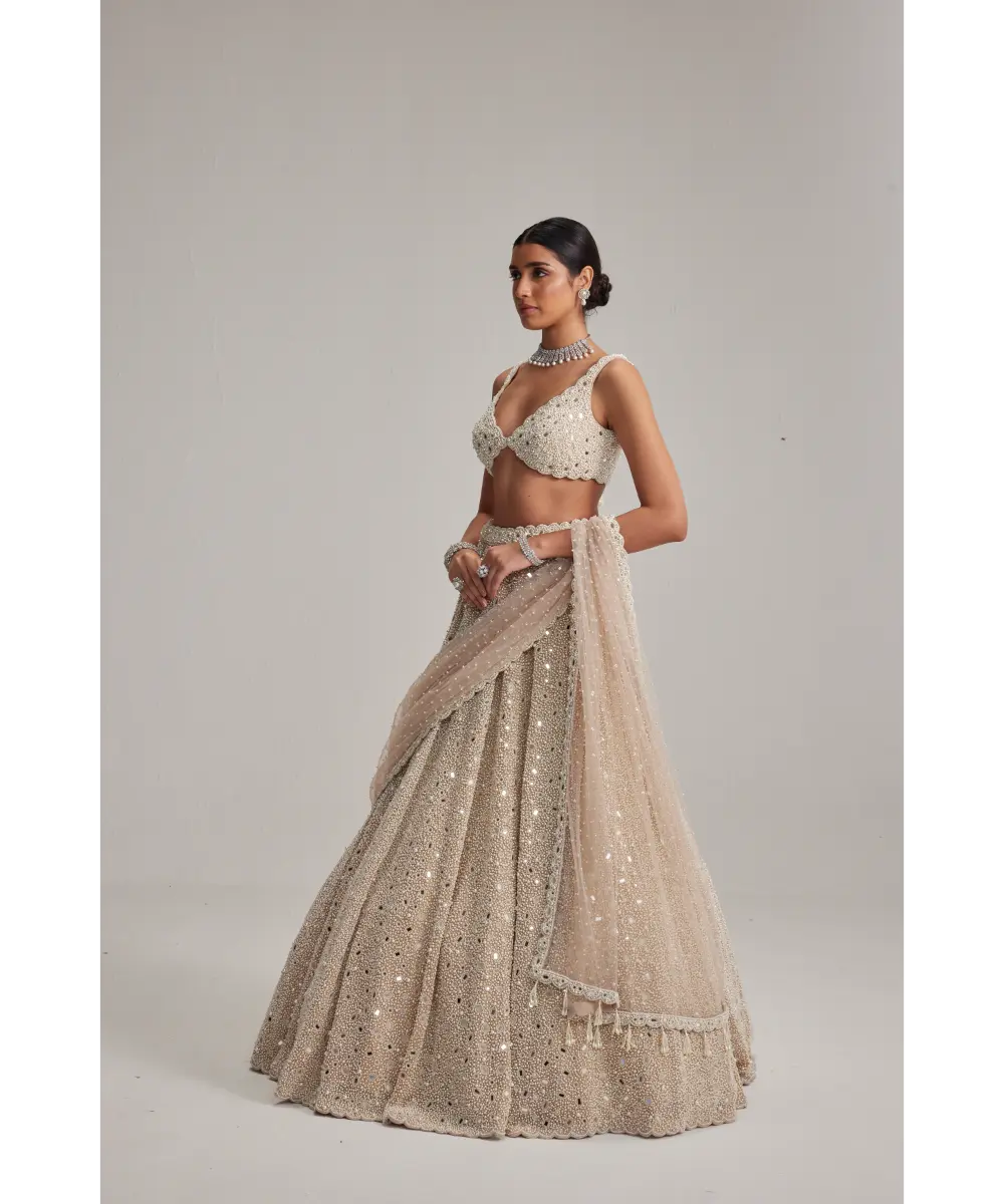 VVANI VATS- Light Beige Dense mirror and pearl lehenga set