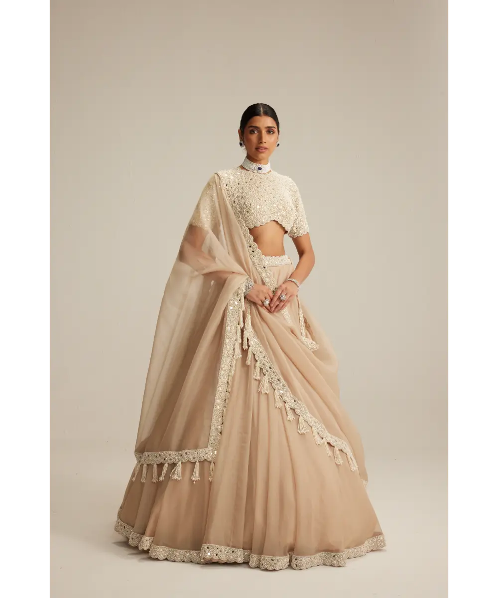 VVANI VATS- Light Beige High Neck Organza mirror and pearl lehenga set