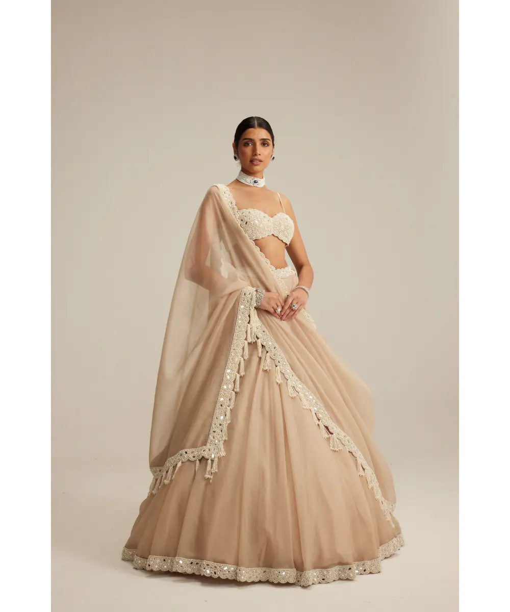VVANI VATS- Light Beige Organza mirror and pearl lehenga set