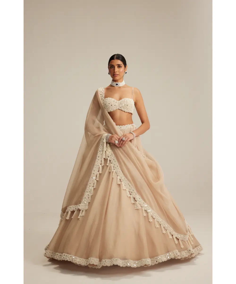 VVANI VATS- Light Beige Organza mirror and pearl lehenga set