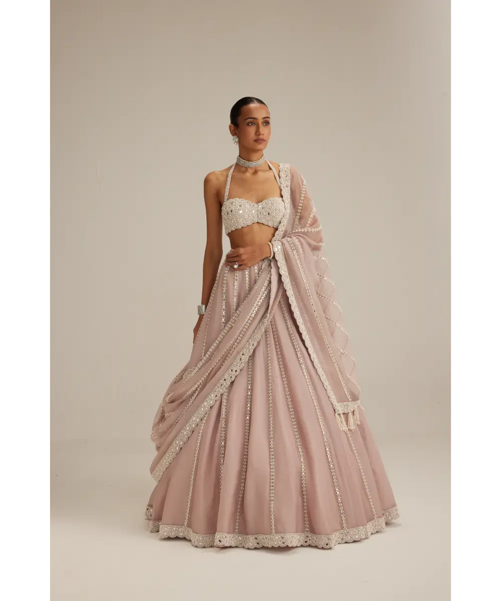 VVANI VATS- Ash Pink linear embroidered Organza Lehenga Set