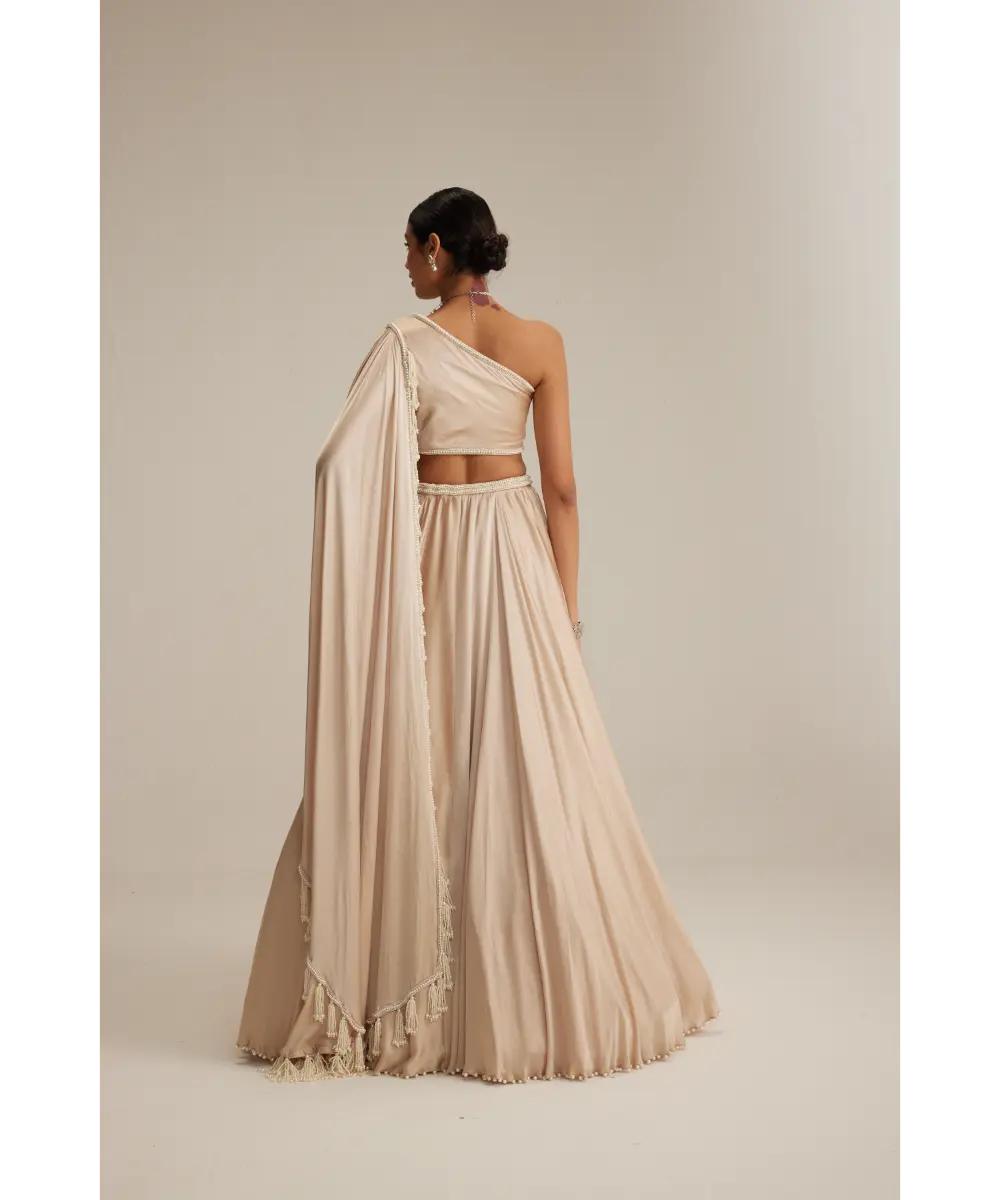 VVANI VATS- Light Beige Satin Lehenga Set