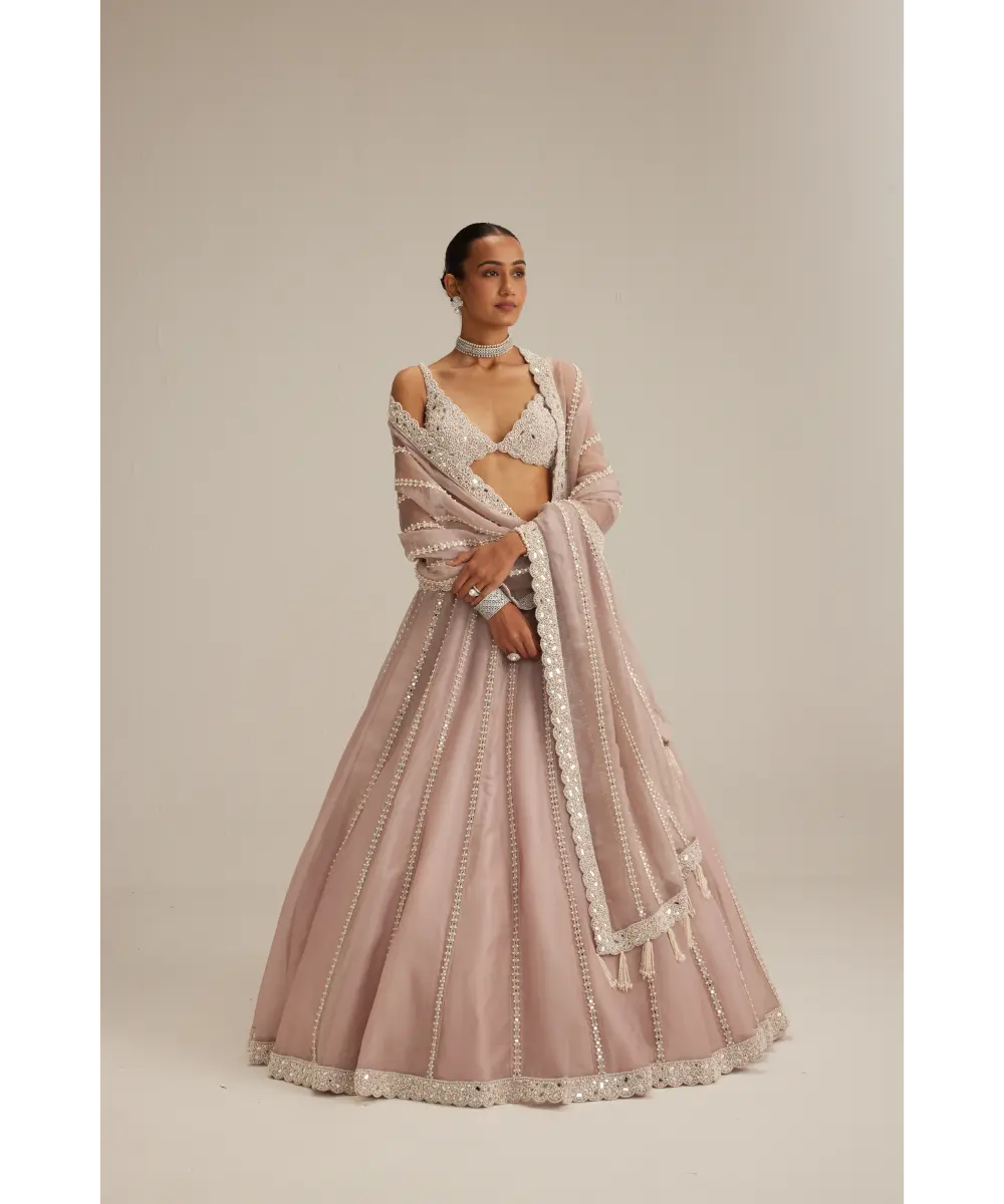 VVANI VATS- Ash Pink Pearl Mirror linear Lehenga with V neck Blouse