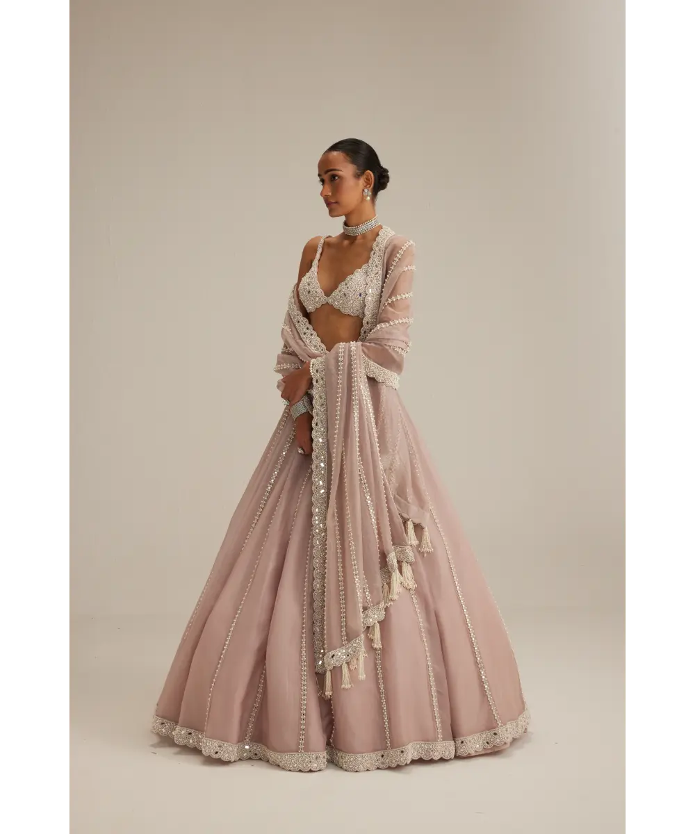 VVANI VATS- Ash Pink Pearl Mirror linear Lehenga with V neck Blouse
