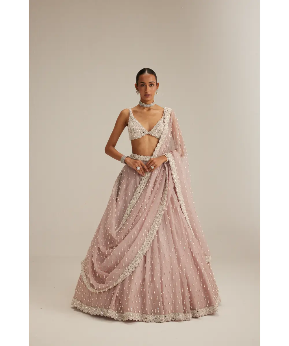 VVANI VATS- Ash Pink Pearl Drop Organza Lehenga Set