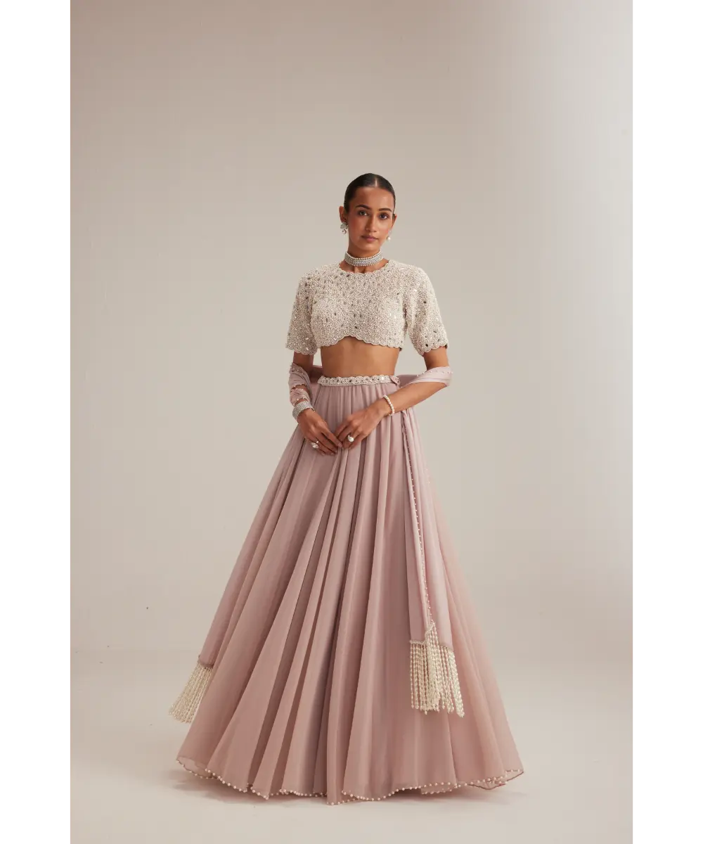 VVANI VATS- Ash Pink georgette Skirt with High Neck Blouse and Stole