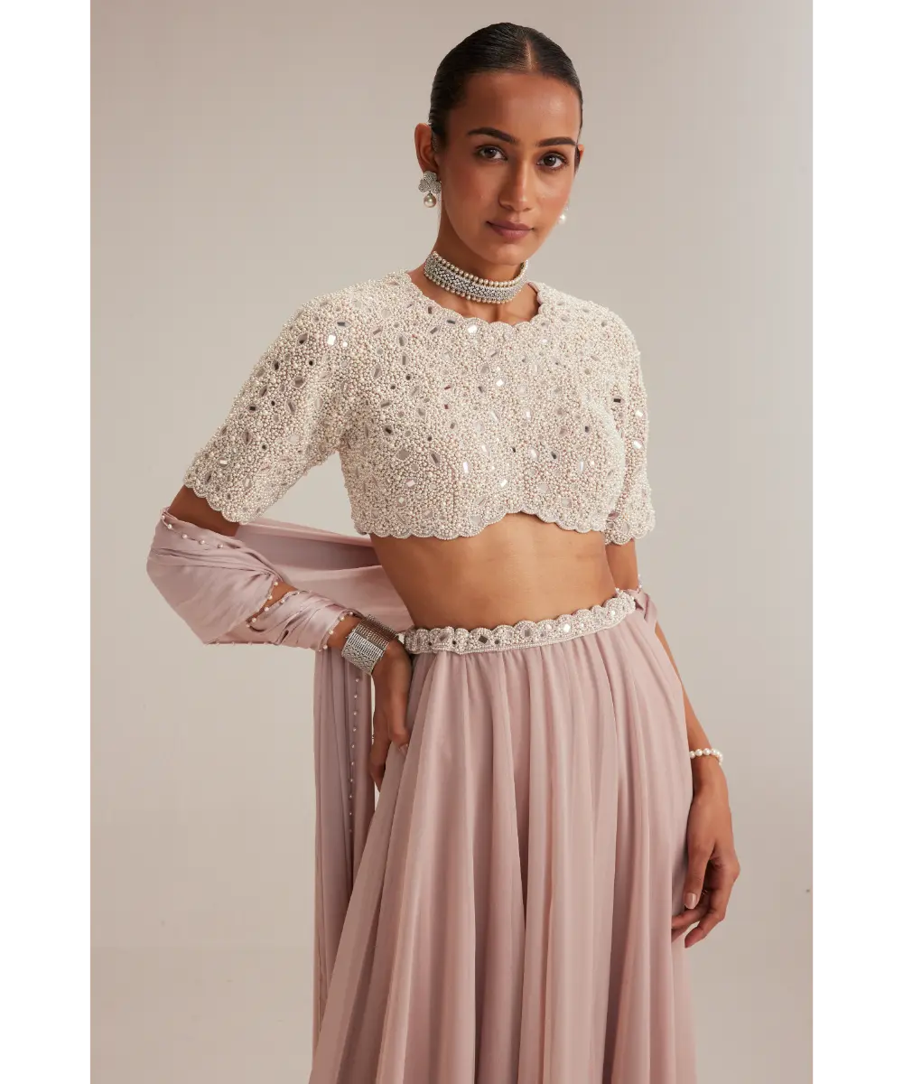 VVANI VATS- Ash Pink georgette Skirt with High Neck Blouse and Stole